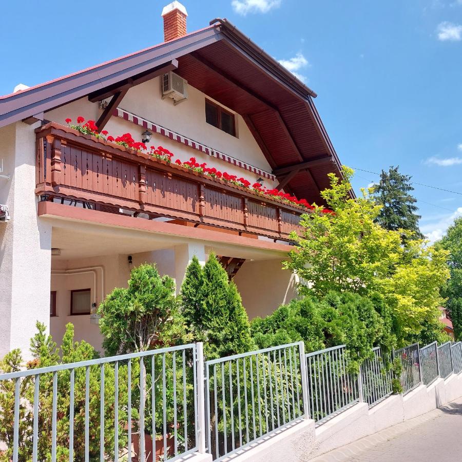 Erika Apartmanhazak ヘーヴィーズ エクステリア 写真